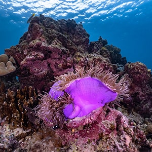 Thai National Parks - 7 Best Things to Do in Phuket