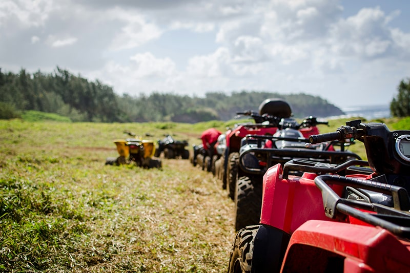 Embark on a thrilling ATV ride