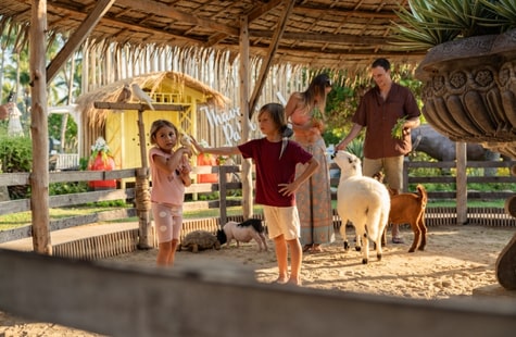 Planning a Phuket Itinerary for Families